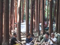 重庆：“避暑游”催热文旅消费
