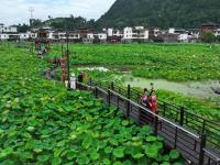 贵州岑巩：人居环境整治 扮靓美丽乡村