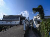 浙江舟山推进美丽乡村建设
