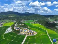 贵州岑巩：人居环境整治 扮靓美丽乡村