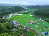贵州岑巩：人居环境整治 扮靓美丽乡村