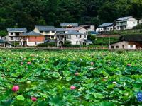 贵州岑巩：人居环境整治 扮靓美丽乡村