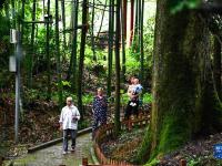 贵州岑巩：人居环境整治 扮靓美丽乡村