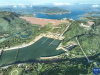 河南济源：黄河湿地好生态
