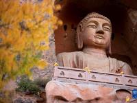 美丽中国丨秋日须弥山
