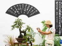 第二届湖南花卉苗木博览会在湘潭开幕
