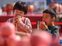 山东沂源：苹果节助民增收
