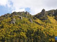 秋染祁连山
