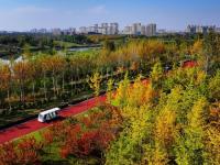 美丽中国丨陕西：沣河秋景胜春朝

