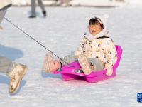 雪后冰城换银装
