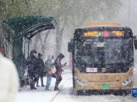 哈尔滨遭遇暴雪天气
