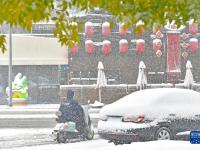 沈阳迎来大范围降雪
