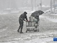 沈阳迎来大范围降雪
