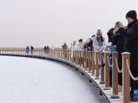冬日漫雪 鹤舞扎龙
