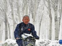沈阳迎来大范围降雪
