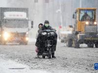 哈尔滨遭遇暴雪天气
