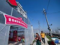 浙江建德：草莓抢鲜上市
