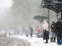 哈尔滨遭遇暴雪天气
