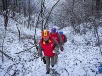 湖北神农架：迎冰雪 保供电
