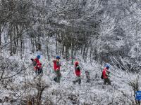 湖北神农架：迎冰雪 保供电
