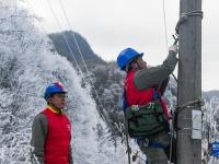 湖北神农架：迎冰雪 保供电
