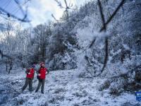 湖北神农架：迎冰雪 保供电
