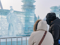 “冰马俑”亮相冰雪大世界
