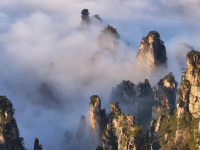 湖南张家界：峰林云间天子山
