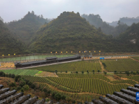 湖南沅陵：农文旅融合看山乡振兴