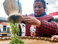 重庆綦江：春回大地 抢抓农时
