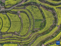 重庆綦江：春回大地 抢抓农时
