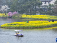 重庆：暖风微拂 花开大地

