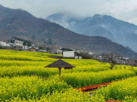 雨润陇南
