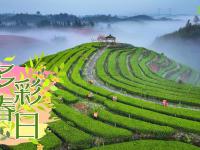 多彩春日
