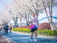 浙江杭州：“樱花跑道”引客来
