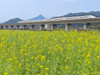 春满八桂大地
