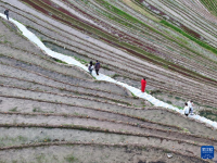 春满八桂大地

