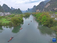 春满八桂大地
