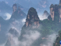 雾漫峰林 如梦似幻

