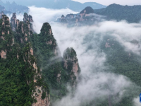 雾漫峰林 如梦似幻
