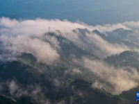 飞阅中国｜重庆金佛山：云绕山峦