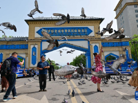 新疆伊宁：旅游市场持续升温
