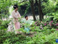 走进嘉兴植物园
