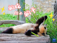 “福宝”，暖宝