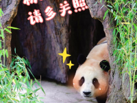 “福宝”，暖宝