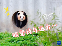 “福宝”，暖宝