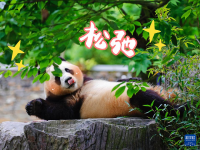 “福宝”，暖宝