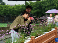 杭州西湖人气旺

