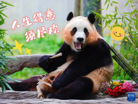 “福宝”，暖宝