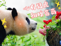 “福宝”，暖宝
